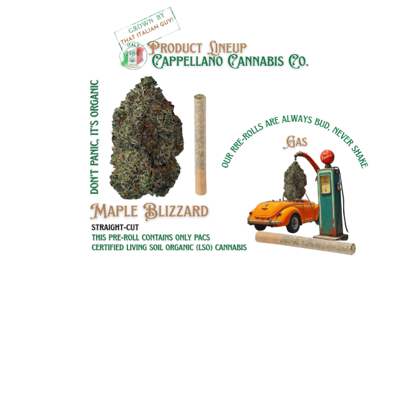 Maple Blizzard Pre Rolls 10x0.5g