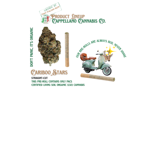 Cariboo Stars Pre Rolls 1x0.5g