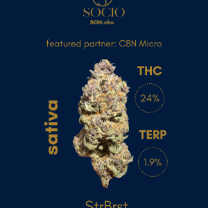 Socio StrBurst (Cherry Gas×Starburst)