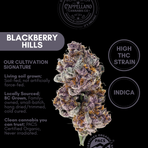 LSO  BlackBerry HIlls (Blackberry Kush Pheno) 1x1g Pre Roll