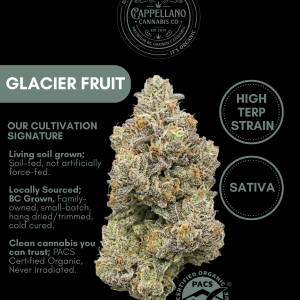 LSO Glacier Fruit (Juicy Fruit x Tangerine Dream)