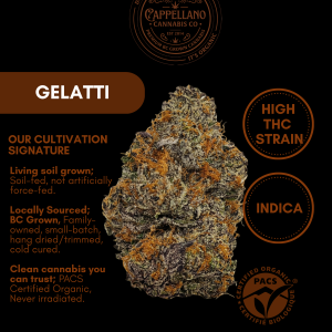 LSO Gelatti (Gelato 33 x Biscotti)