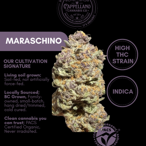LSO Maraschino smalls (Grape Ape x Cherry Pie) Coming Soon