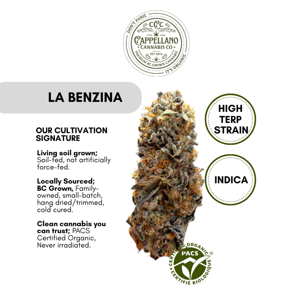 Cappellano La Benzina original product artwork with flower and cultivation information