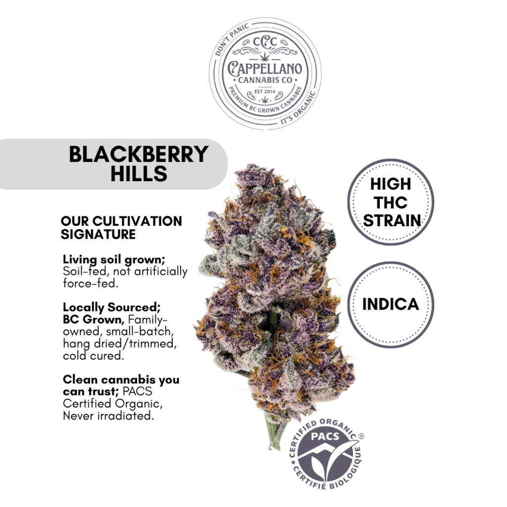 Cappellano Blackberry Hills original product artwork with flower and cultivation information